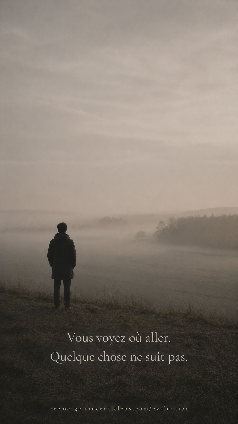 Man alone in a misty field seen from far away, Re-Emerge